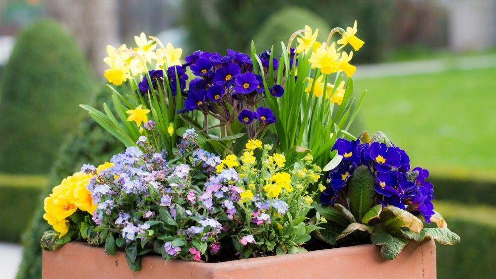 Curb Appeal Blossoms With Springtime Flowers
