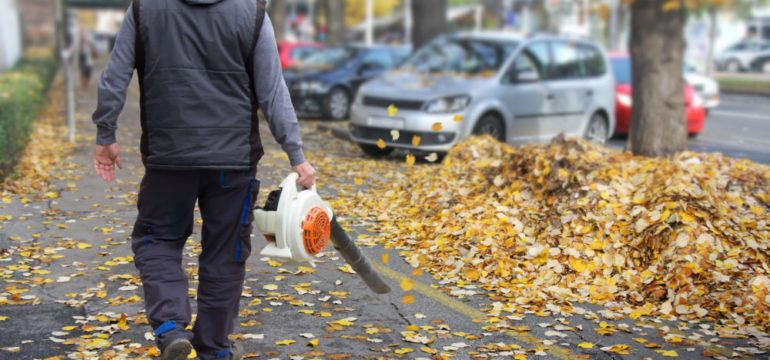 Let’s Go Shopping for a Leaf Blower