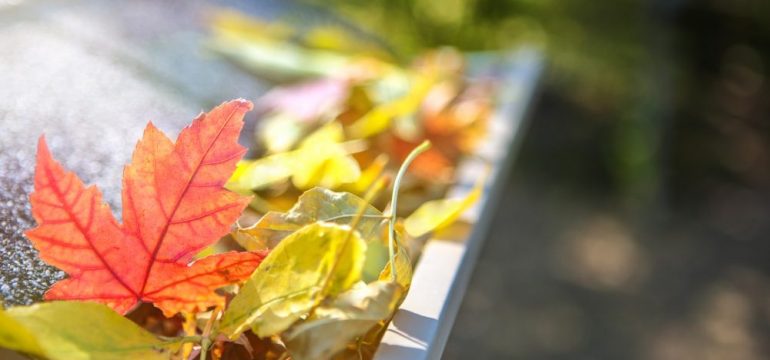Leaves in home gutters should be cleaned on September To-Dos list for homeowners.