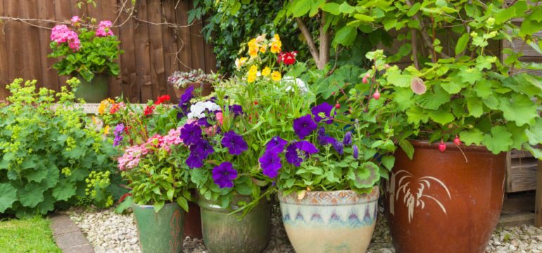 Shady corner of a garden with plant containers full of colorful flowers.