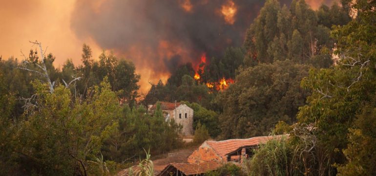 Wildfires covering wooded areas near residential homes.