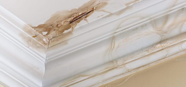 Peeling paint on an interior ceiling a result of water damage caused by a leaking pipe dripping down from upstairs a result of substandard plumbing completed by an unqualified plumber. A common sign of a house's condition.