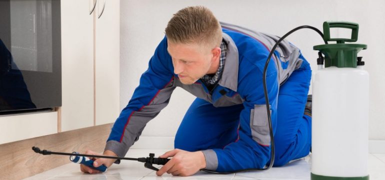 Male Worker Kneeling On Floor And Spraying Pesticide On Wooden Cabinets Included in Pest Control Contracts