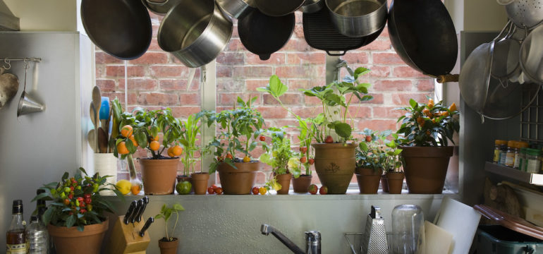 Saucepans hanging over sink against potted plants on windowsill in domestic kitchen.
