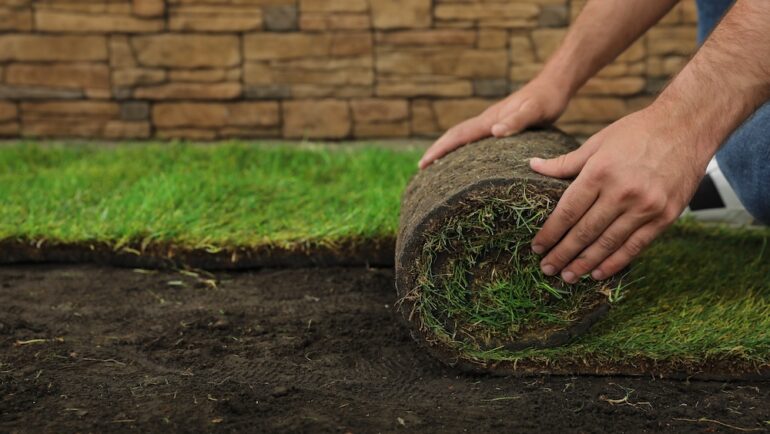 Young man laying sod on ground at backyard, closeup.